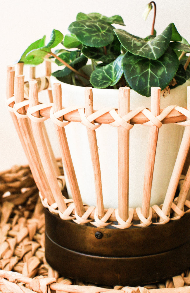 Cane and Brass Planter